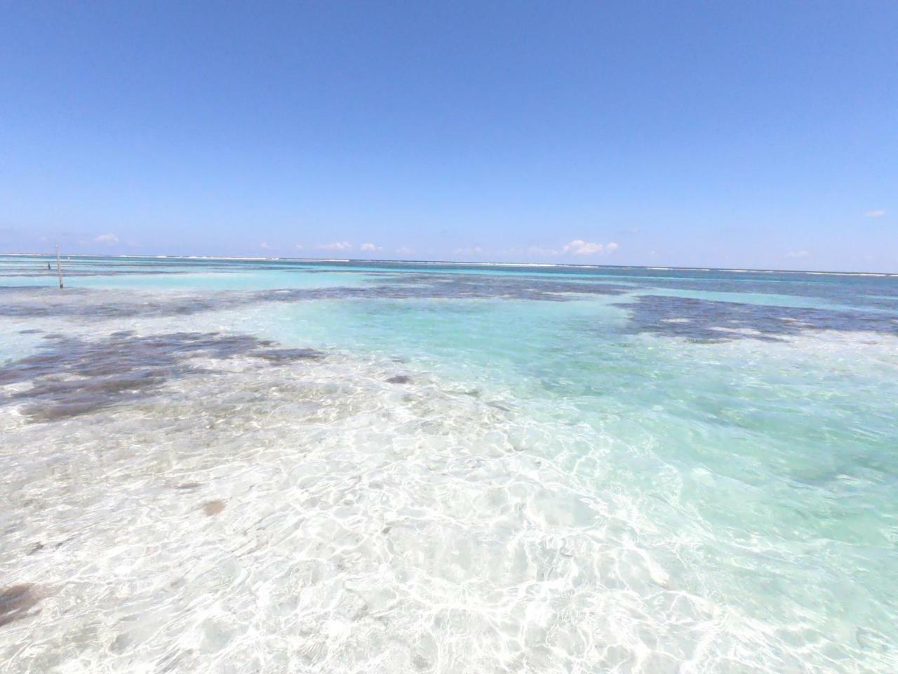 Palmeras De Mahahual Cabanas Kültér fotó