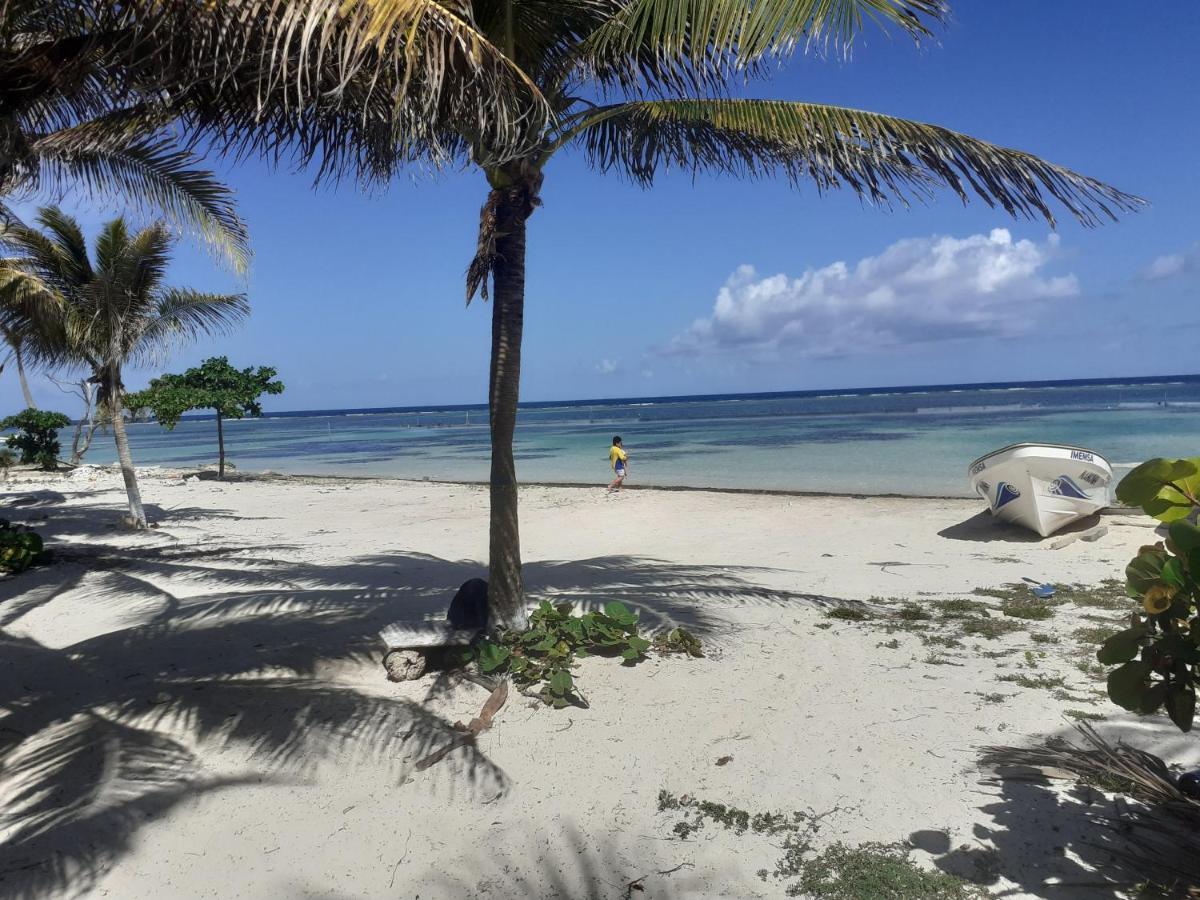 Palmeras De Mahahual Cabanas Kültér fotó
